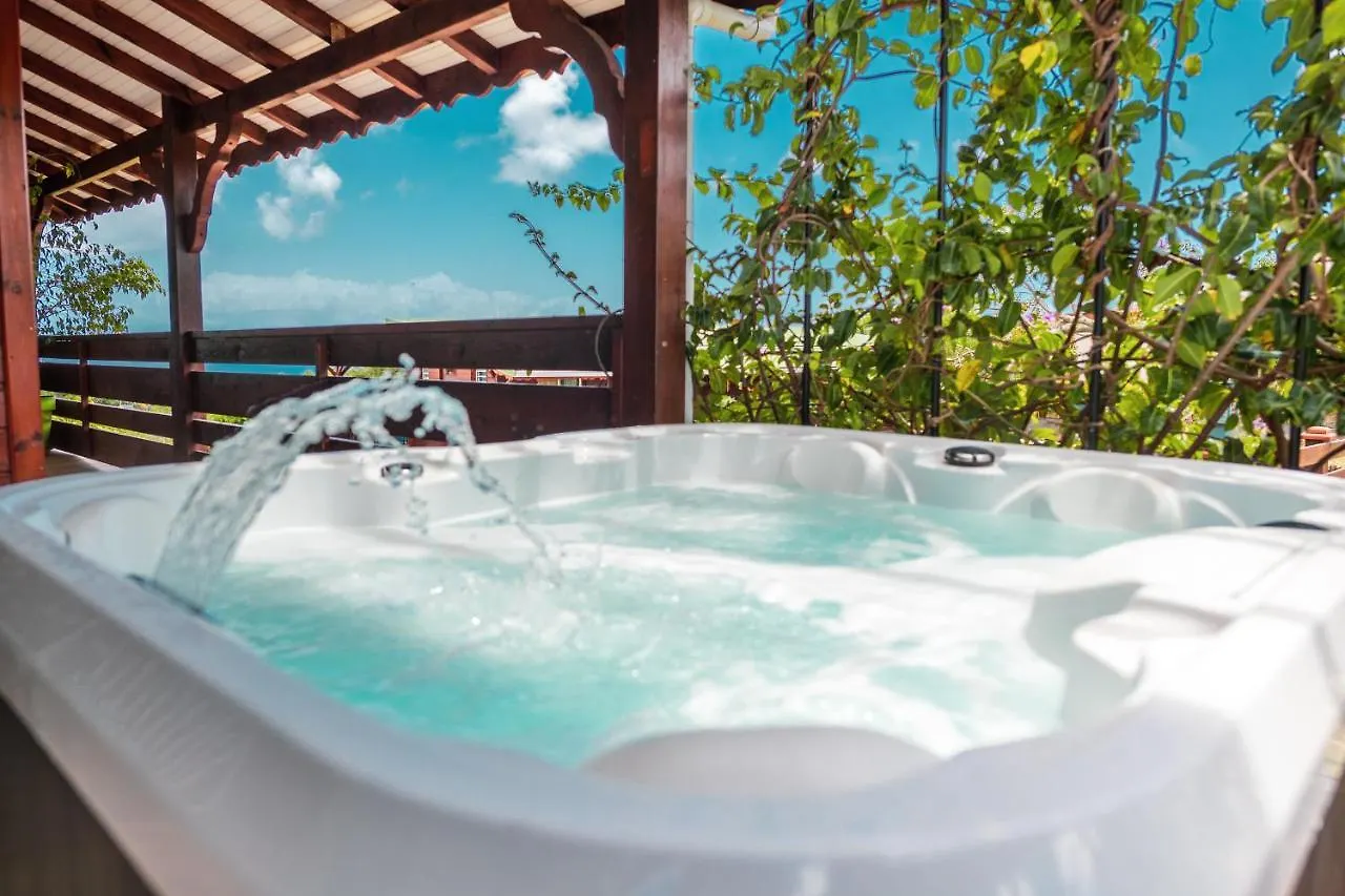 Domainde De Meilly - M&P Concept Vue Mer Jacuzzi Ou Piscine Saint-Louis